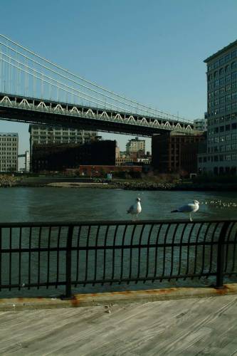 NYC_2006-12-07 12-49-19